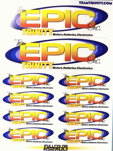 Team EPIC - full colour decal sheet on white vinyl